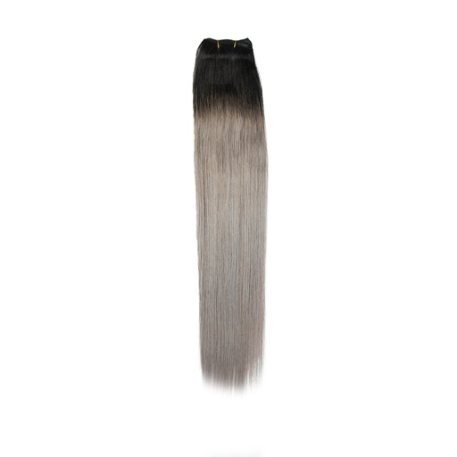 Remi - Hair Extension - STW Length 22 Inch - Color# T1B/Silver (Ombre)