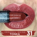 Layla - Immoral - Shine Lipstick - Tonka - N.31