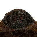 80004219 - G.webp