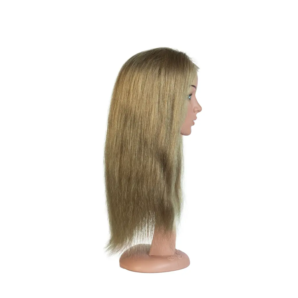elnasaem-579.webp