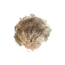 elnasaem-828.webp