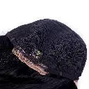 elnasaem-154.webp