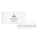 HD - Collagen Ampoule